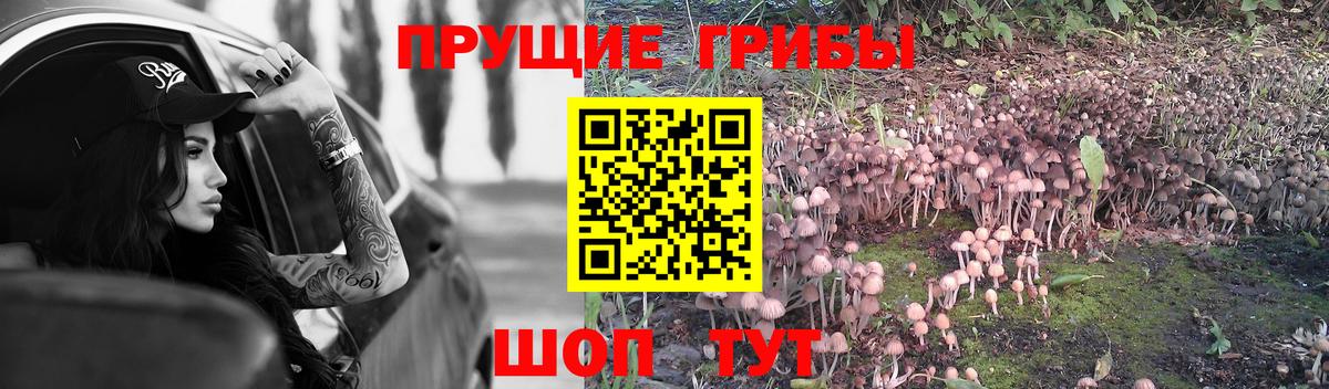 Псилоцибиновые грибы ЛСД Ликино-Дулёво