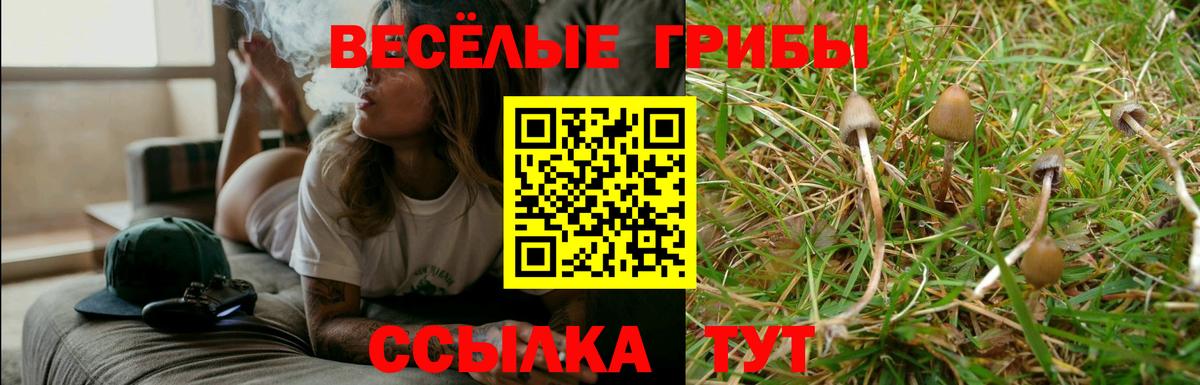 Псилоцибиновые грибы Psilocybine cubensis  Псилоцибиновые грибы прущие грибы  Ликино-Дулёво  Вход с VPN 